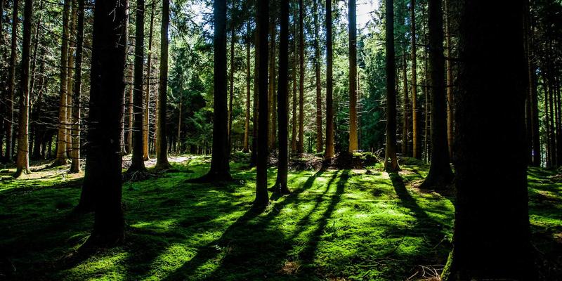 攻克高温合金涡轮叶片制造难题：精密加工中的特殊刀具材料与智能冷却方案