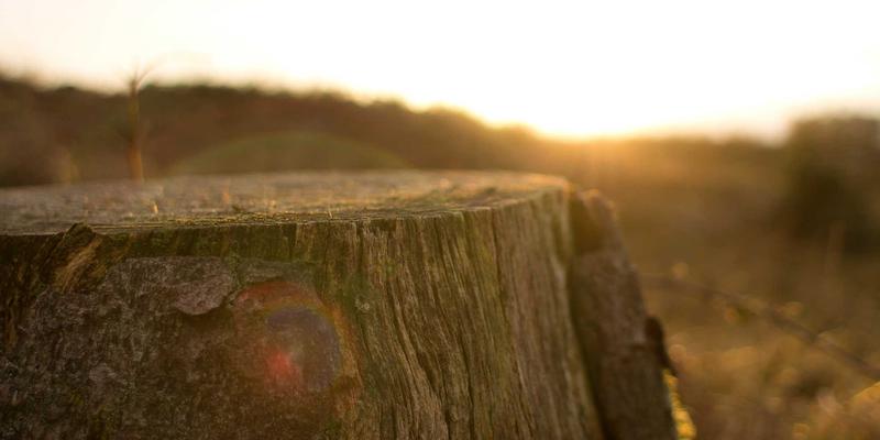 智能制造浪潮下，CNC加工与自动化设备如何引领机械加工数字化转型