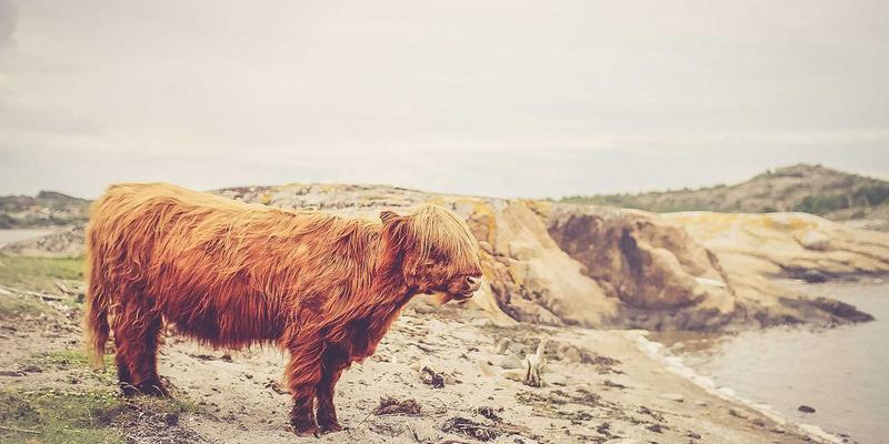 机械加工28：CNC加工与自动化设备如何重塑现代制造业