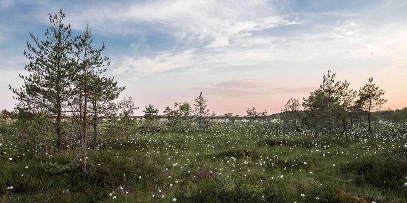 机械加工74：设备制造与机械制造中的定制化革命