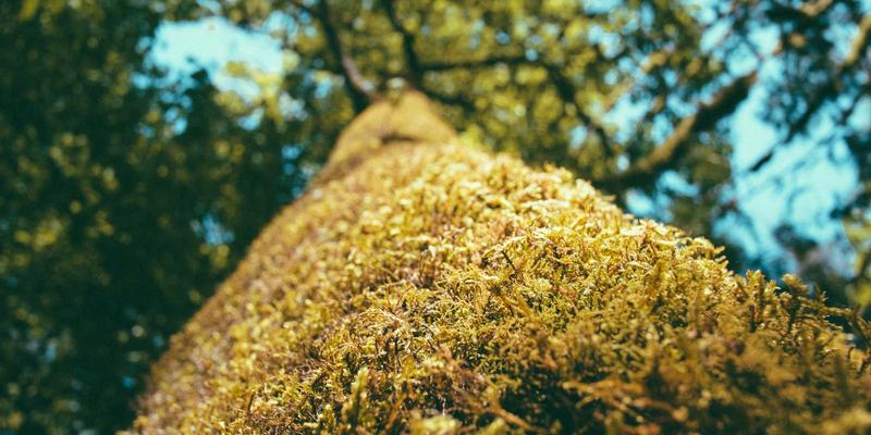 机械加工77：定制设备与CNC加工如何重塑现代制造业