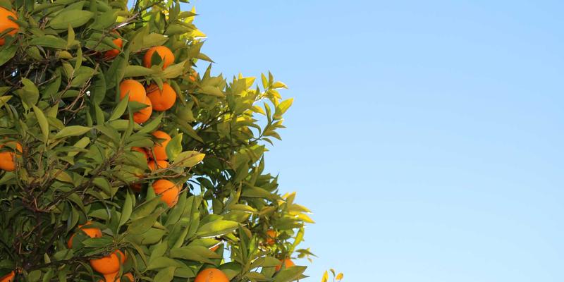 机械加工91：精密制造、定制设备与自动化技术的深度解析