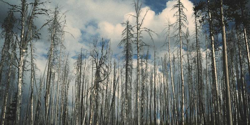 机械加工95：现代精密制造的核心技术解析