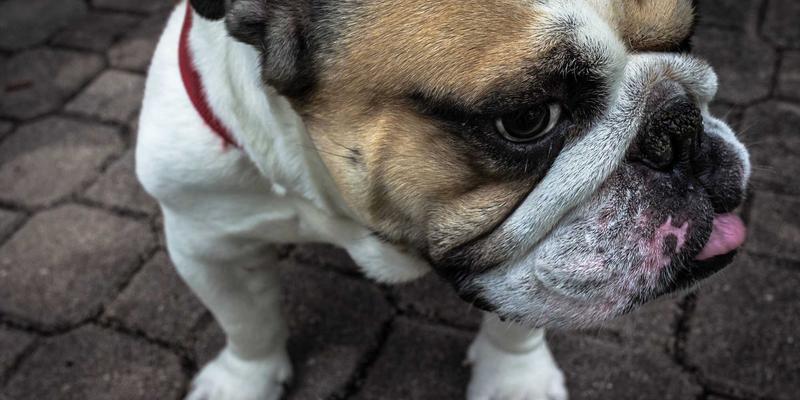 车铣复合加工中心：能源装备大型复杂零件一次装夹成型的核心技术优势