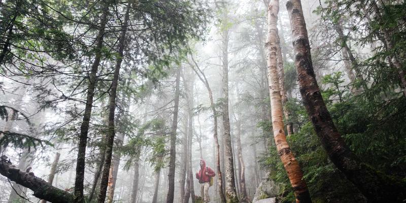 高精度坐标镗床加工工艺：驱动设备制造与自动化设备升级的关键技术